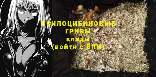 прущая мука Каменка