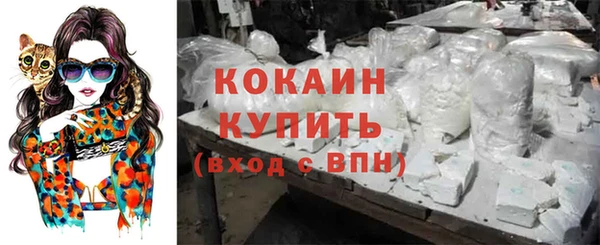 прущие крисы Каменногорск