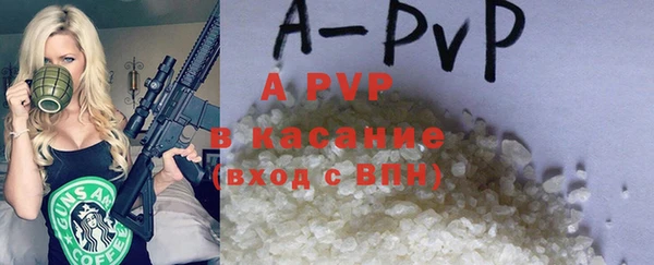 прущие крисы Каменногорск