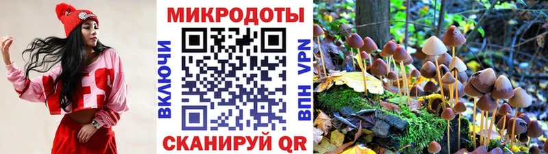 Купить где  Анадырь  Псилоцибиновые грибы мицелий 